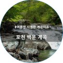 ♥7월정기산행(포천/백운산, 백운계곡7/12) 이미지