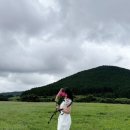 송당미학