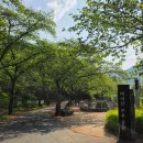 신비공원 | ​[남도 가족여행] 마이산 도립공원: 신비로운 돌탑과 가벼운 산행 후기 (주차 꿀팁 &amp; 필수 준비물)_부모...