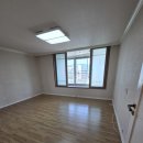 한선파라타운 이미지