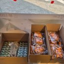 유진과학상사 이미지