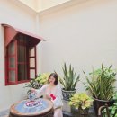 HOTEL1죽도 (호텔1죽도) | 푸켓 올드타운 숙소 우갤러리 호텔 조식 포토스팟 woo gallery boutique hotel