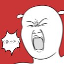 평택역왁싱, 털 걱정 끝! 허니유 왁싱 후기 (feat. 피부진정)