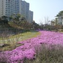 고인돌 김밥 이미지