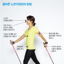 워킹덕 이미지