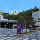 원 리조트모텔 | 강원도 정선 숙박, 베르사유 모텔 리모델링 객실 이용 후기