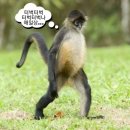 (주)유투미디어 | 터벅터벅나의일숭