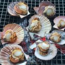 더끌림펜션 이미지