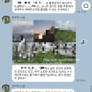 만지작 | [w4] 대구 웨딩스냅 만지작스냅 후기🩵