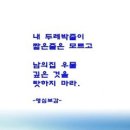 명심보감 이미지