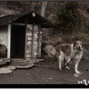 돌쇠농장 이미지