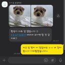 아이봄동물병원 이미지