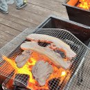 애견펜션 돌봄 이미지