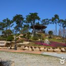 국화펜션 이미지