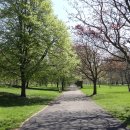 하이드파크 이미지