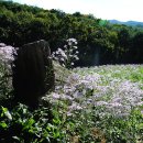 문경석탄박물관 이미지