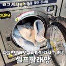 세탁은여기 | 셀프빨래방에서 러그 세탁 건조 내돈내산 후기
