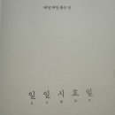 일일시호일