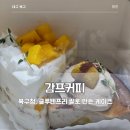 쌀케이크집 | 대구 북구청 카페 감프커피, 글루텐프리 쌀케이크 내돈내산후기