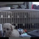 멍언니 쌀롱 이미지