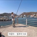 칠포항펜션 티스토리
