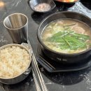 진주국밥 포항 효자시장 신상 맛집 내돈내산 솔직 후기