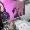were living in the sm town (2025에스엠콘서트 라이브뷰잉후기)
