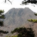 홍천1교 이미지