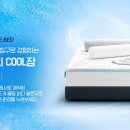 에이스침대주 헤럴드경제