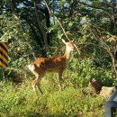 다람쥐모텔 이미지