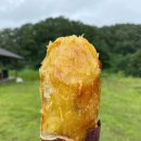 쇼핑의꿀맛