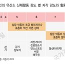자세 개선 필라테스 B 이미지