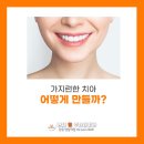 연세키즈주니어치과의원 이미지