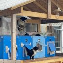 생활목공 | 브레멘에코와 함께하는 생활목수 목공수업 후기 20260318