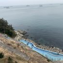 성일택시 이미지