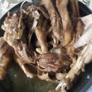 시골옻닭 이미지