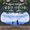 성흥산 화장실 네이버블로그