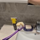 이기영 | 천년초 이기영 박사 비누+치약세트 솔직 후기 매일 쓰는 건강 루틴의 변화