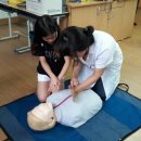 왕조초등학교 이미지