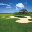 글로리아골프 이미지