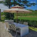 스테이오캄 이미지