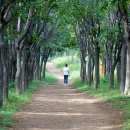 누리산업 이미지