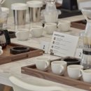 핸드드립커피 마스터 | 핸드드립 커피 마스터 클래스,스페셜티 커피의 모든 것- 기업 힐링 프로그램