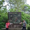 평화종합정비 | 비자림·성산일출봉·광치기해변 - 천년의 숲과 제주 동쪽 해안 절경