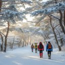 입석대 | 광주 무등산 눈꽃 산행: 서석대 입석대 주상절리의 겨울 왕국 트레킹 코스