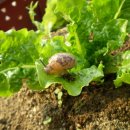 느림보농장 이미지