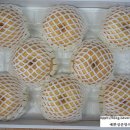 금배농장 이미지