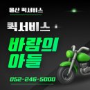 울산 퀵 서비스 | 울산퀵서비스 울산퀵 이용 후기 믿음직한 선택