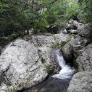 조무락계곡 이미지