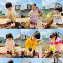 양문어린이집 이미지